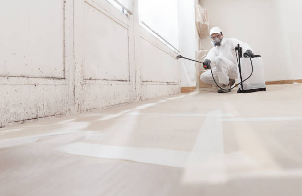 Trusted Mold Inspection service in Zarephath, NJ - WQB Mold Removal