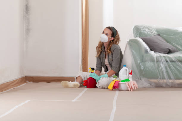 Reliable Mold Inspection contractor in Zarephath, NJ by WQB Mold Removal